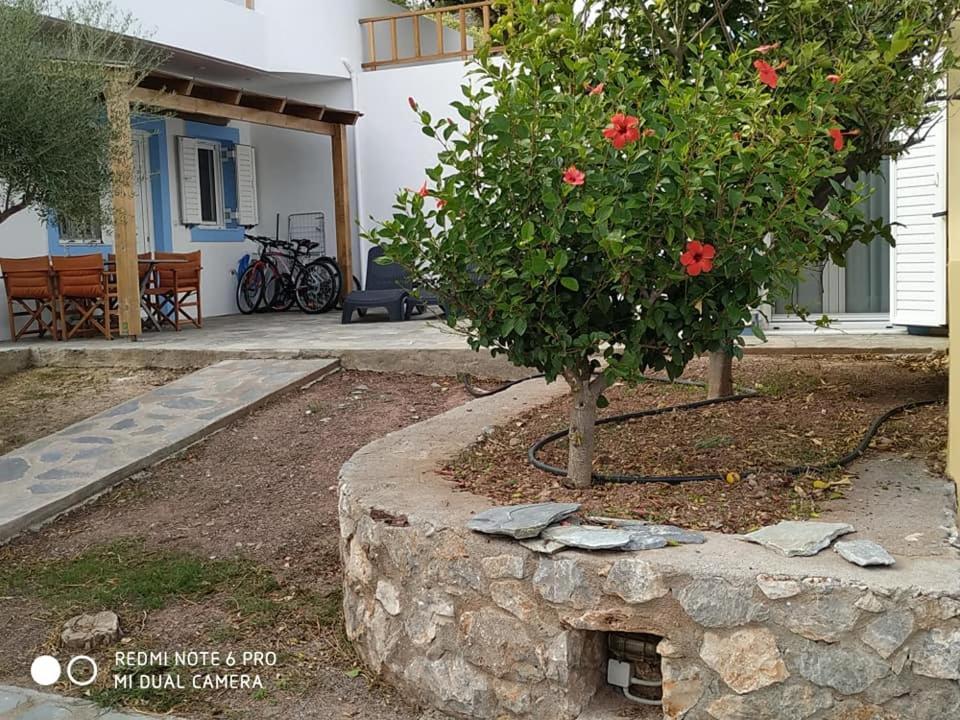 Alkioni Sea View Apartment Káto Zákros Kültér fotó