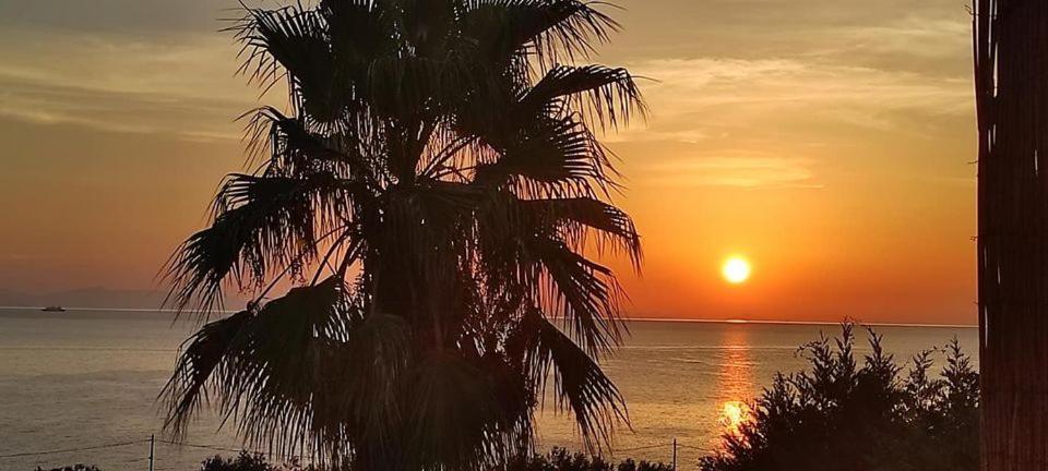 Alkioni Sea View Apartment Káto Zákros Kültér fotó