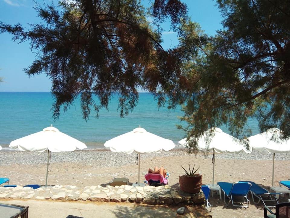 Alkioni Sea View Apartment Káto Zákros Kültér fotó