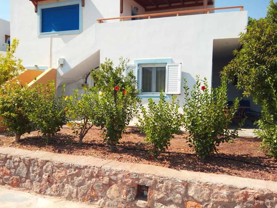 Alkioni Sea View Apartment Káto Zákros Kültér fotó