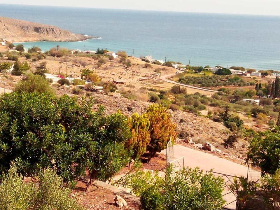 Alkioni Sea View Apartment Káto Zákros Kültér fotó