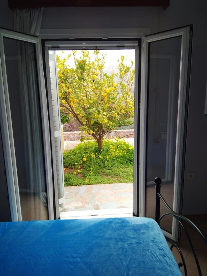 Alkioni Sea View Apartment Káto Zákros Kültér fotó