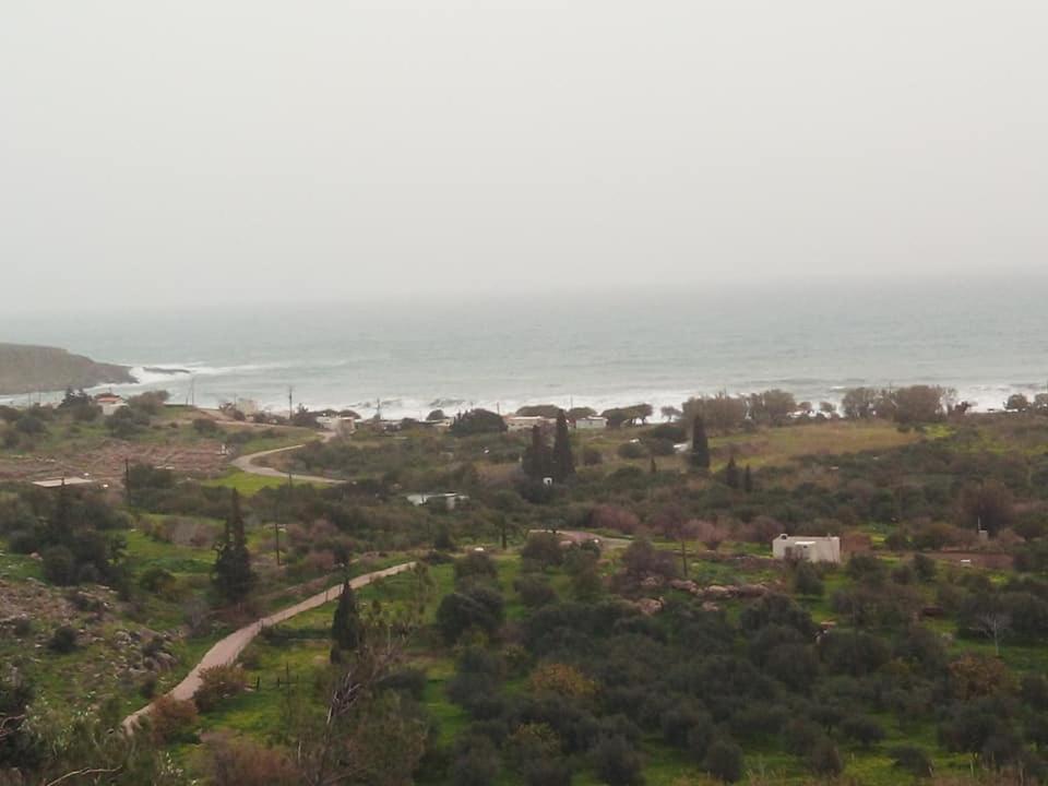 Alkioni Sea View Apartment Káto Zákros Kültér fotó