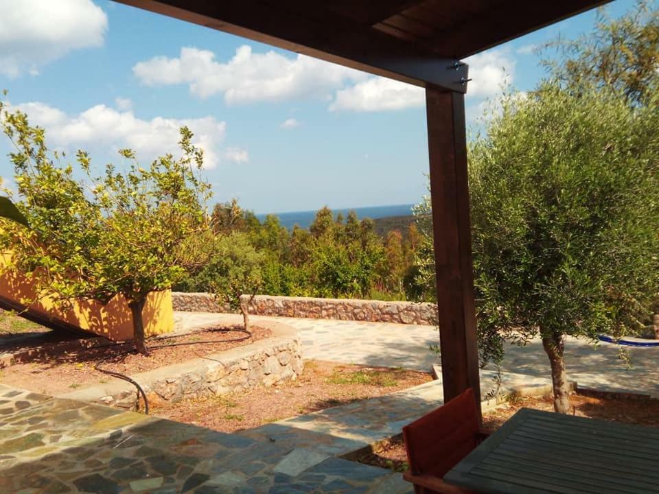 Alkioni Sea View Apartment Káto Zákros Kültér fotó